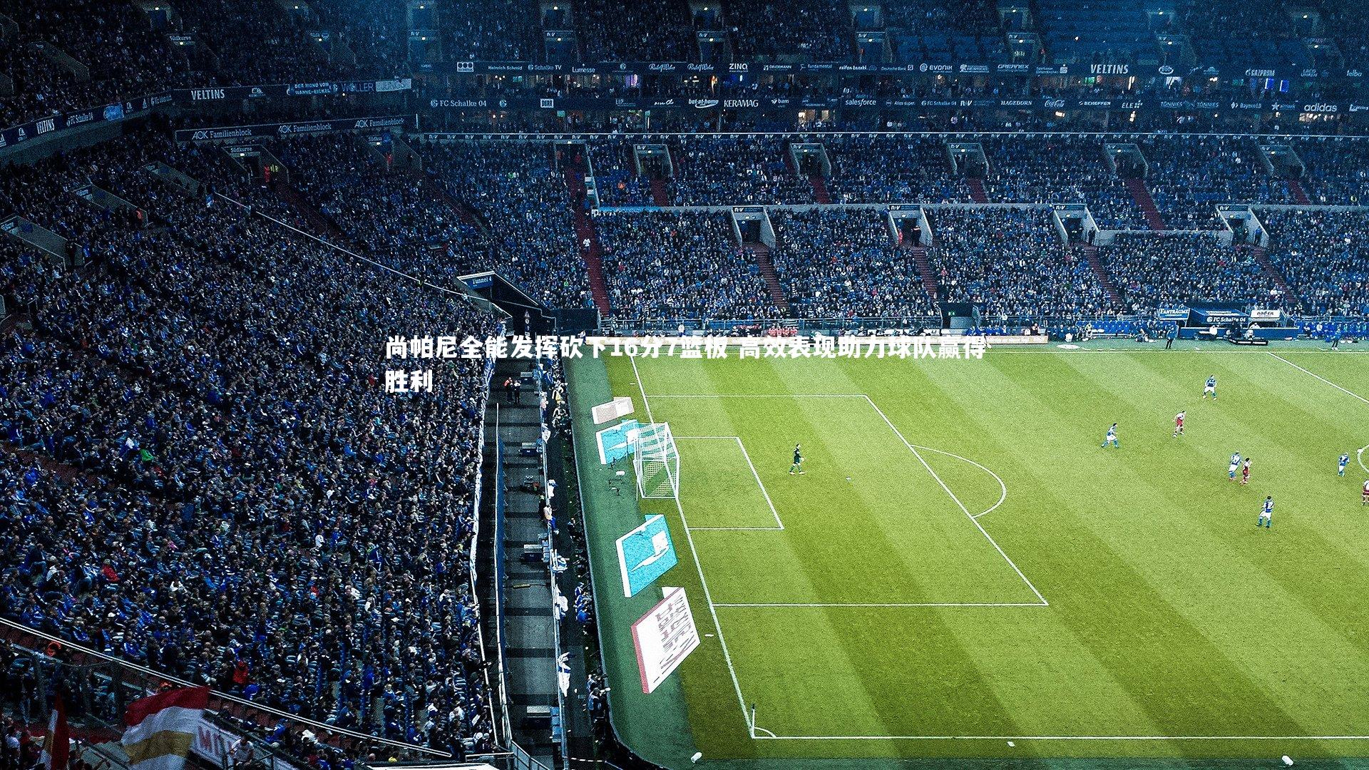 尚帕尼全能发挥砍下16分7篮板 高效表现助力球队赢得胜利